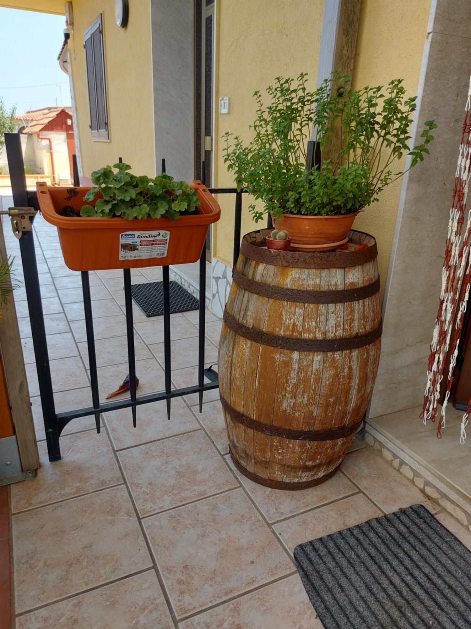 Elorina Sicily Home Syrakus Exterior foto